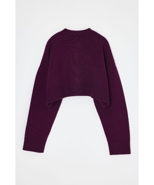 ENFOLD(エンフォルド)の「BUTTON CARDIGAN(ニット/セーター・レディース・ミント/ボルドー/ブラック・38)」の6枚目の写真