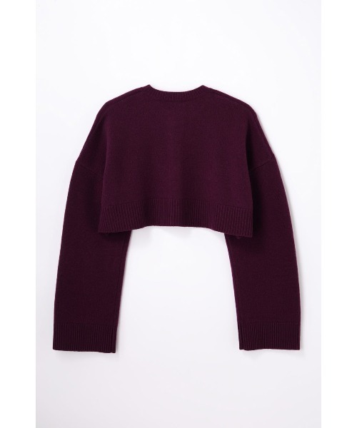 ENFOLD(エンフォルド)の「BUTTON CARDIGAN(ニット/セーター・レディース・ミント/ボルドー/ブラック・38)」の7枚目の写真