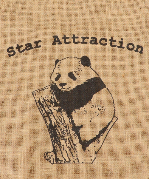 SLOBE IENA（スローブイエナ）の「SLOBE IENA ジュートプリントエコトートバッグ（トートバッグ・レディース・ブラウン/ブラウン系その他/ブラウン系その他2/ブラウン系その他3/ブラウン系その他4・FREE）」の16枚目の写真