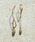 GOLDYiS[fBj́uyGOLDYzcCXg C × hbv AVg[ sAX / 1221205 CS-2311isAXipjjvbS[hn̑2
