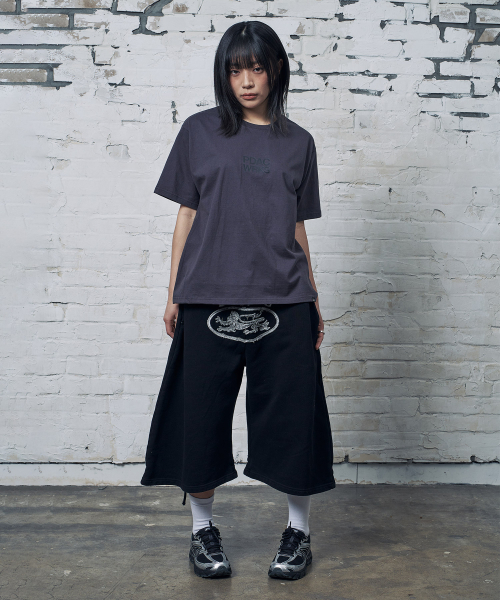 PEID(ペイド)の「PD PDAC半袖Tシャツチャコール(Tシャツ/カットソー・レディース・チャコール・2/3/4/5/6/1)」の4枚目の写真