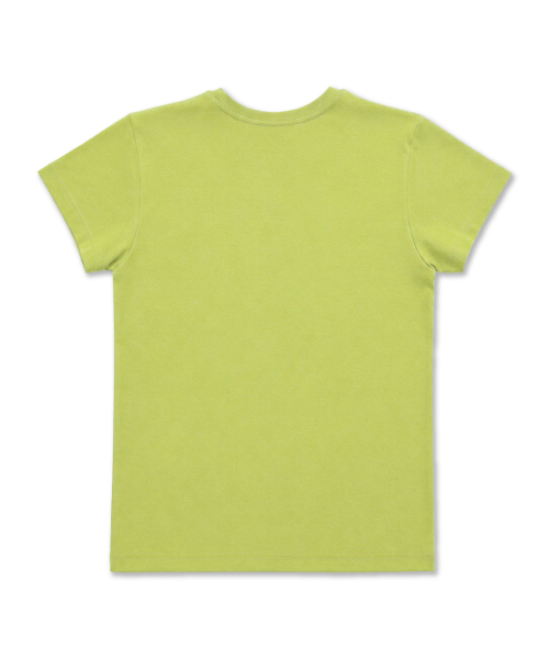 DAMISH（ダミシュ）の「シルケットコットンレタリングスリムTシャツ_ライム（Tシャツ/カットソー・レディース・ライム・OS）」の6枚目の写真
