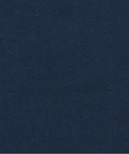 BREEZE（ブリーズ）の「箔プリントロゴＴシャツ（Tシャツ/カットソー・キッズ・グレー/ネイビー/オフホワイト・140/110/130/95/100/120/80/90）」の5枚目の写真