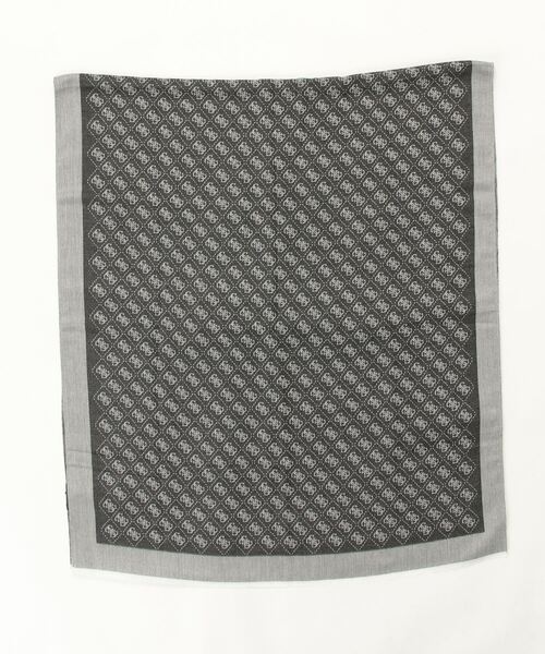 Guess（ゲス）の「QUATTRO G Scarves（マフラー・メンズ・ブラウン/ダークグレー・ONE SIZE）」の5枚目の写真