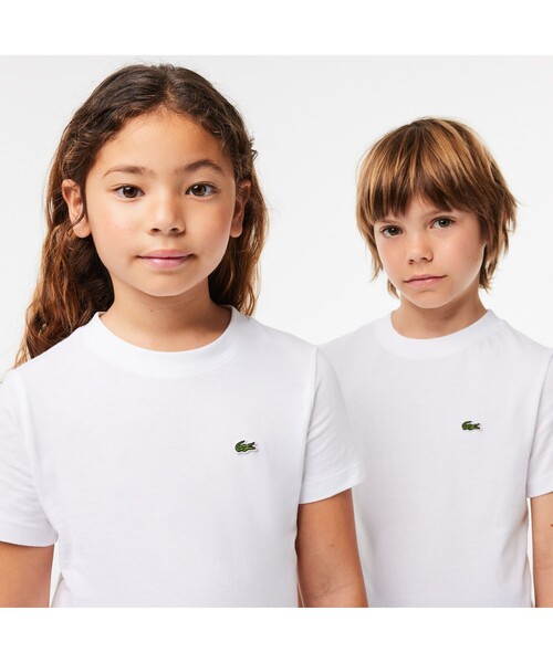 LACOSTE ロゴパッチ Tシャツ JUNIORベーシックワニロゴパッチTシャツ（Tシャツ/カットソー