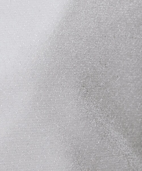 UNTITLED(アンタイトル)の「【洗える】ラメシアーTシャツ(Tシャツ/カットソー・レディース・ライトグレー/グレー/ブラック・48/44/04/02/00)」の5枚目の写真