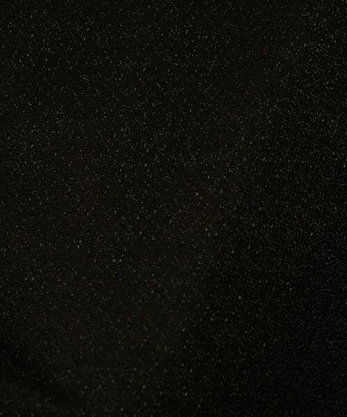 UNTITLED(アンタイトル)の「【洗える】ラメシアーTシャツ(Tシャツ/カットソー・レディース・ライトグレー/グレー/ブラック・48/44/04/02/00)」の21枚目の写真