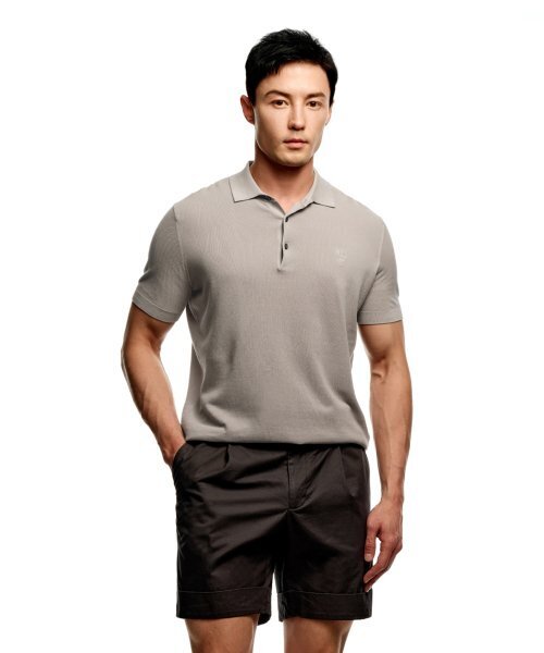 SOLEW(ソル)の「ポロピケ半袖ニット_グレー(ポロシャツ・メンズ・その他・SMALL/MEDIUM/LARGE/X-LARGE)」の1枚目の写真