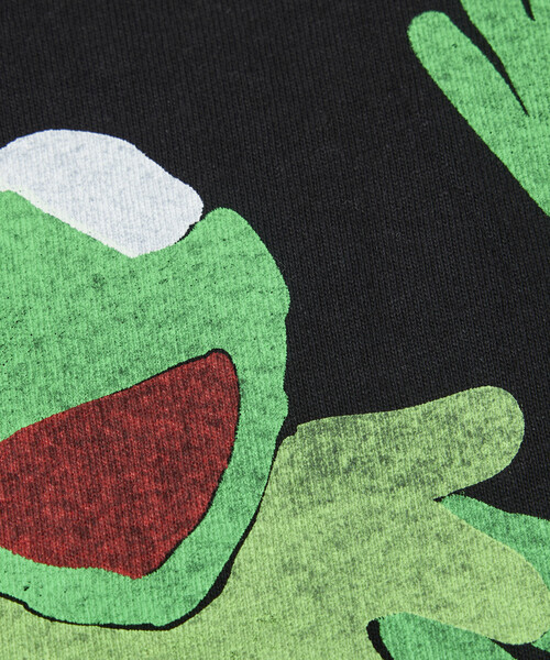 cotton pan(コットンパン)の「COTTON PAN/コットンパン リラックスフィット プリント クルーネック Tシャツ / カエル(Tシャツ/カットソー・メンズ・ブラック/ホワイト・MEDIUM/LARGE)」の12枚目の写真