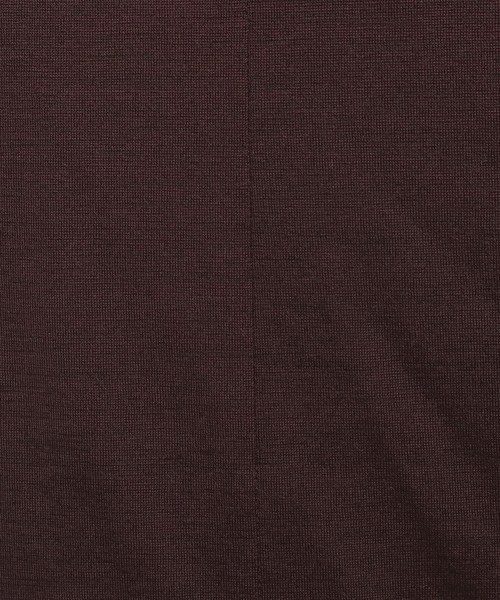Sunauna(スーナウーナ)の「【洗える】スリーブピンタックカットソー(Tシャツ/カットソー・レディース・ライトブルー/ライトベージュ/パープル系/ダークブラウン・40/38/34)」の6枚目の写真