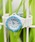 CASIO�i�J�V�I�j�́u/CASIO�i�J�V�I�j/�_�C�o�[�A�i���O �~�j�@�r���v�i�A�i���O�r���v�j�v�b�u���[