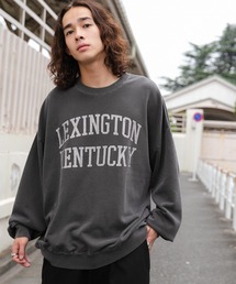 WEGO | WEGO/ピグメントグラフィックプルオーバー(スウェット)