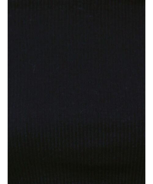 GYDA(ジェイダ)の「Wレースラインリブトップス(Tシャツ/カットソー・レディース・オフホワイト/ブラック・FREE)」の11枚目の写真