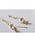 tone�i�g�[���j�́u�yAstyle�z�W���p�[���`�F�[���X�e�����X�s�A�X(MA)�i�s�A�X�i�����p�j�j�v�b�S�[���h