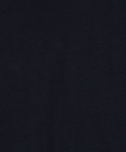 SUNSPEL（サンスペル）の「SUNSPEL ヘビーウェイト ジャージー Tシャツ（Tシャツ/カットソー・メンズ・ネイビー/ブラック/ホワイト/グリーン/ブルー・M/L/S）」の13枚目の写真