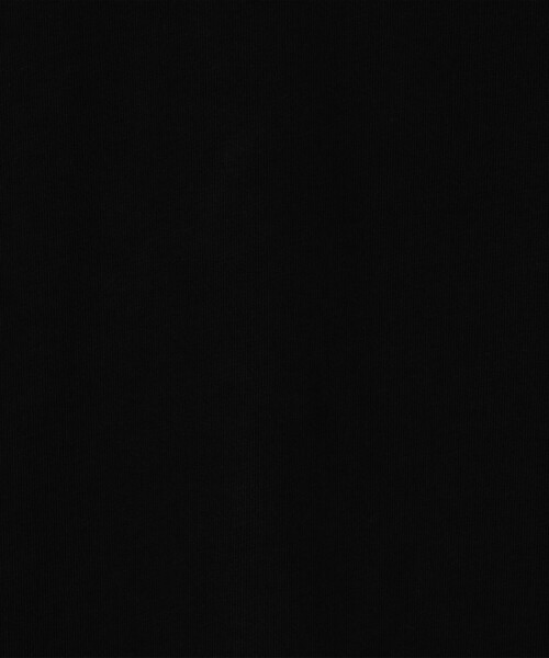 SUNSPEL（サンスペル）の「SUNSPEL ヘビーウェイト ジャージー Tシャツ（Tシャツ/カットソー・メンズ・ネイビー/ブラック/ホワイト/グリーン/ブルー・M/L/S）」の15枚目の写真