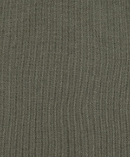 SUNSPEL（サンスペル）の「SUNSPEL ヘビーウェイト ジャージー Tシャツ（Tシャツ/カットソー・メンズ・ネイビー/ブラック/ホワイト/グリーン/ブルー・M/L/S）」の16枚目の写真