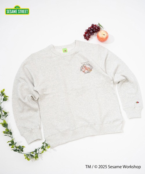 セール】SESAME STREET×FTL ロングスリーブ甘編 / セサミ / プル