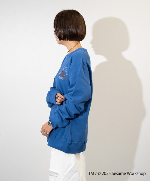 セール】SESAME STREET×FTL ロングスリーブ甘編 / セサミ / プル