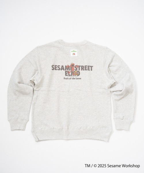 FRUIT OF THE LOOM(フルーツオブザルーム)の「SESAME STREET×FTL ロングスリーブ甘編 / セサミ / プルオーバー(スウェット・メンズ・ブルー/杢グレー・S/M/L)」の5枚目の写真