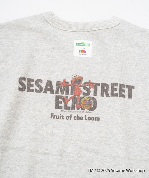 FRUIT OF THE LOOM(フルーツオブザルーム)の「SESAME STREET×FTL ロングスリーブ甘編 / セサミ / プルオーバー(スウェット・メンズ・ブルー/杢グレー・S/M/L)」の8枚目の写真