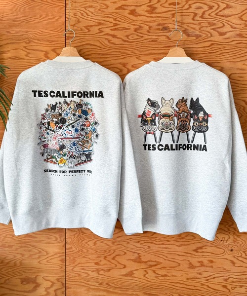 The Endless Summer(エンドレスサマー)の「【WEB / FLAG SHOP限定】TES CALIFORNIA BIG SWEAT CREWNECK /オーバーサイズ・ビッグシルエット・クルーネック(スウェット・メンズ・A/B・X-LARGE/LARGE/MEDIUM)」の3枚目の写真