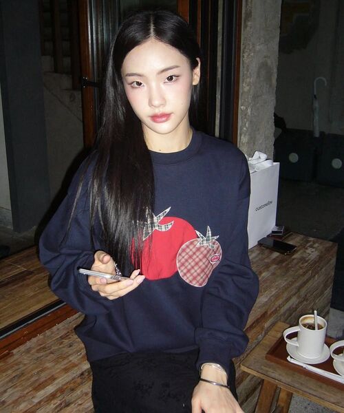 ambler（エムブラー）の「トマト アプリケ刺繍 スウェット Tシャツ AMM1319 (ネイビー)（スウェット・レディース・その他・SMALL/MEDIUM/LARGE）」の4枚目の写真