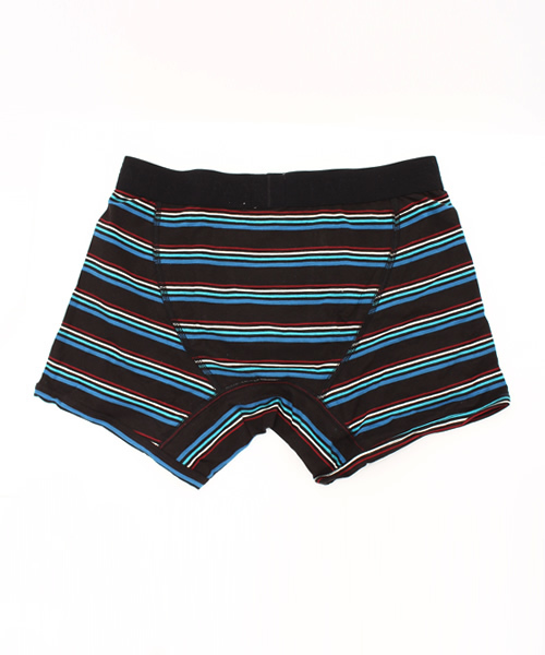 PACT（パクト）の「PACT/パクト Men's Boxer Brief-Road Trip Stripe　メンズ・ボクサーブリーフ（ブリーフ・メンズ・ストライプ・SMALL/LARGE/MEDIUM）」の2枚目の写真