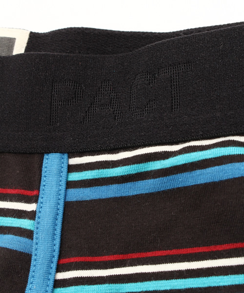 PACT（パクト）の「PACT/パクト Men's Boxer Brief-Road Trip Stripe　メンズ・ボクサーブリーフ（ブリーフ・メンズ・ストライプ・SMALL/LARGE/MEDIUM）」の3枚目の写真