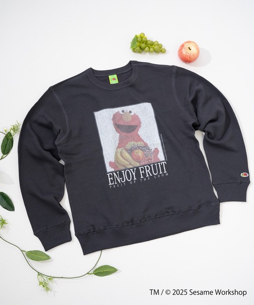 FRUIT OF THE LOOM(フルーツオブザルーム)の「SESAME STREET×FTL ロングスリーブ甘編 / セサミ / プルオーバー(スウェット・メンズ・ブラック/ブラウン・L/M/S)」の5枚目の写真