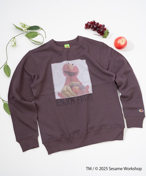 FRUIT OF THE LOOM(フルーツオブザルーム)の「SESAME STREET×FTL ロングスリーブ甘編 / セサミ / プルオーバー(スウェット・メンズ・ブラック/ブラウン・L/M/S)」の6枚目の写真