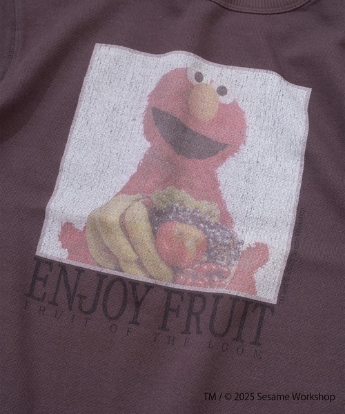 FRUIT OF THE LOOM(フルーツオブザルーム)の「SESAME STREET×FTL ロングスリーブ甘編 / セサミ / プルオーバー(スウェット・メンズ・ブラック/ブラウン・L/M/S)」の8枚目の写真