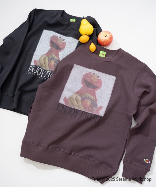 FRUIT OF THE LOOM(フルーツオブザルーム)の「SESAME STREET×FTL ロングスリーブ甘編 / セサミ / プルオーバー(スウェット・メンズ・ブラック/ブラウン・L/M/S)」の11枚目の写真