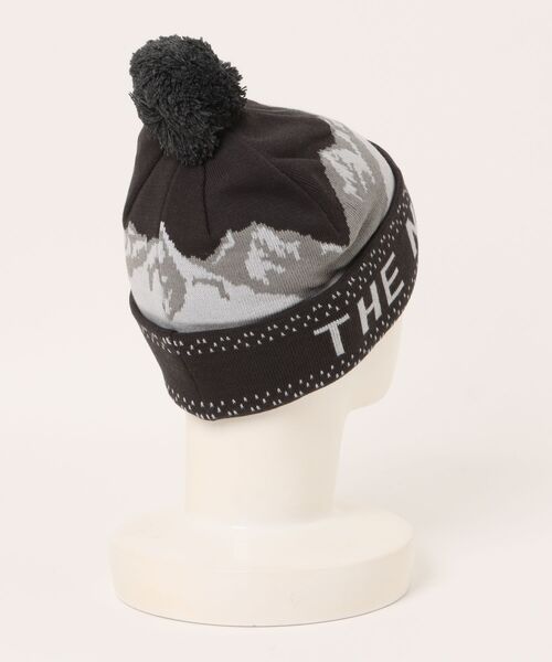 THE NORTH FACE（ザノースフェイス）の「【THE NORTH FACE】Snow Bum Beanie（ニットキャップ/ビーニー・メンズ・グレー/ベージュ・7）」の3枚目の写真