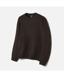 AGOD（エージーオーディー）の「シグニチャーデイリークルーネックニット[ブラウン]（ニット/セーター）」