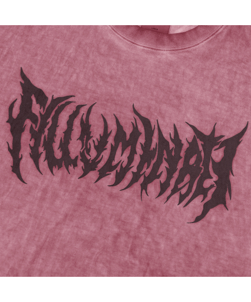 F.ILLUMINATE(フィルミネイト)の「ゴスロゴピグメントTシャツ-ワイン(Tシャツ/カットソー・レディース・その他・SMALL/MEDIUM/LARGE)」の9枚目の写真