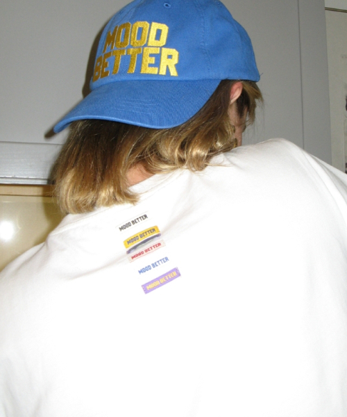 MOODBETTER（ムード ベター）の「GINGHAM APPLIQUE CROP T SHIRTS WHITE（Tシャツ/カットソー・レディース・その他・FREE）」の3枚目の写真