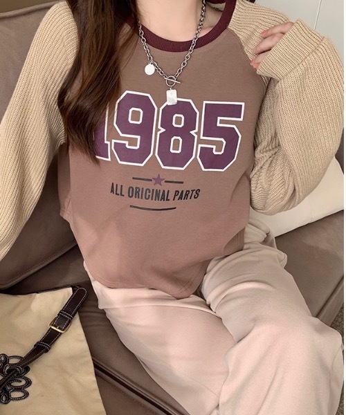 Alvia(アルビア)の「ドッキング 配色Tシャツ(Tシャツ/カットソー・レディース・ピンク/ブラウン・M)」の2枚目の写真