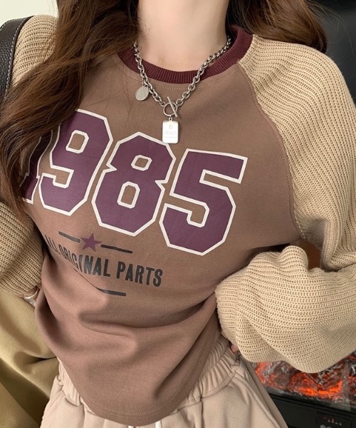 Alvia(アルビア)の「ドッキング 配色Tシャツ(Tシャツ/カットソー・レディース・ピンク/ブラウン・M)」の3枚目の写真