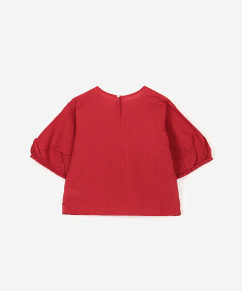 DANTON(ダントン)の「DANTON | コットンローン 半袖プルオーバーシャツ WOMEN(シャツ/ブラウス・レディース・ブラック/オフホワイト/レッド・38)」の5枚目の写真