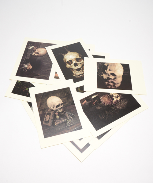 TOKYO CULTUART by BEAMS(トウキョウカルチャートバイビームス)の「鈴木嘉樹×高蝶智樹 / SKULLS(本・メンズ・その他1・ONE SIZE)」の6枚目の写真