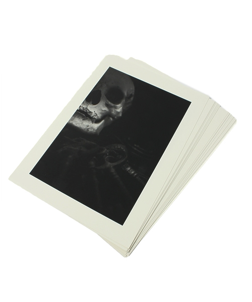 TOKYO CULTUART by BEAMS(トウキョウカルチャートバイビームス)の「鈴木嘉樹×高蝶智樹 / SKULLS(本・メンズ・その他1・ONE SIZE)」の5枚目の写真