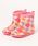 Kids Foret�i�L�b�Y�t�H�[���j�́u�j�e�@�����������C���V���[�Y�i���C���V���[�Y�j�v�b�z���C�g