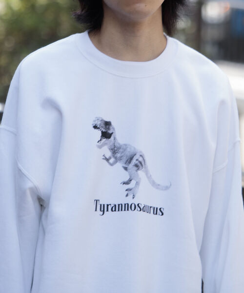 GLOSTER(グロスター)の「【GLOSTER/グロスター】ジュラシック クルーネックスウェット 裏起毛 プルオーバー プリント(スウェット・メンズ・ベージュ/グレー/オフホワイト・M/L)」の2枚目の写真