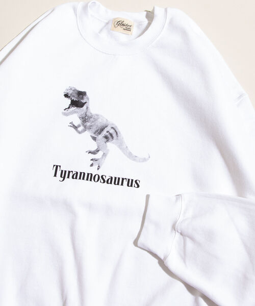 GLOSTER(グロスター)の「【GLOSTER/グロスター】ジュラシック クルーネックスウェット 裏起毛 プルオーバー プリント(スウェット・メンズ・ベージュ/グレー/オフホワイト・M/L)」の5枚目の写真