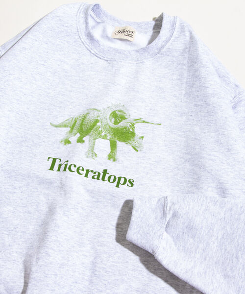 GLOSTER(グロスター)の「【GLOSTER/グロスター】ジュラシック クルーネックスウェット 裏起毛 プルオーバー プリント(スウェット・メンズ・ベージュ/グレー/オフホワイト・M/L)」の9枚目の写真