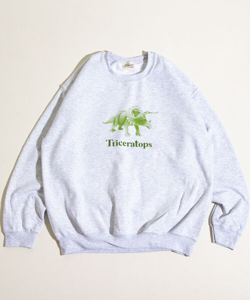 GLOSTER(グロスター)の「【GLOSTER/グロスター】ジュラシック クルーネックスウェット 裏起毛 プルオーバー プリント(スウェット・メンズ・ベージュ/グレー/オフホワイト・M/L)」の4枚目の写真