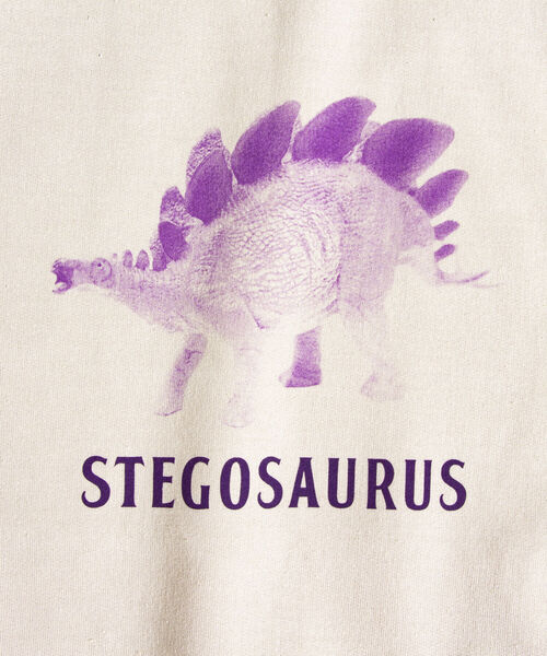 GLOSTER(グロスター)の「【GLOSTER/グロスター】ジュラシック クルーネックスウェット 裏起毛 プルオーバー プリント(スウェット・メンズ・ベージュ/グレー/オフホワイト・M/L)」の6枚目の写真