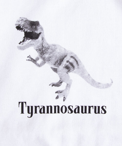 GLOSTER(グロスター)の「【GLOSTER/グロスター】ジュラシック クルーネックスウェット 裏起毛 プルオーバー プリント(スウェット・メンズ・ベージュ/グレー/オフホワイト・M/L)」の7枚目の写真