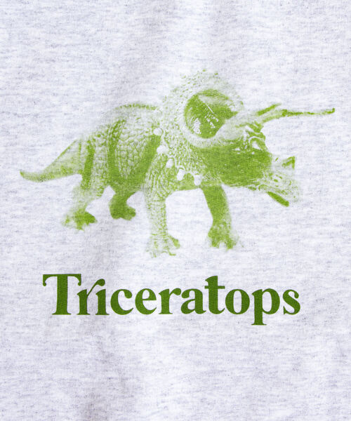 GLOSTER(グロスター)の「【GLOSTER/グロスター】ジュラシック クルーネックスウェット 裏起毛 プルオーバー プリント(スウェット・メンズ・ベージュ/グレー/オフホワイト・M/L)」の12枚目の写真